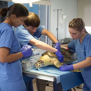 Bilder Cozi Zuehlsdorff