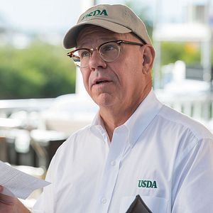 Bilder Mein Freund, der Delfin 2