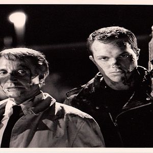 Bilder Hitman - Cohen & Tate