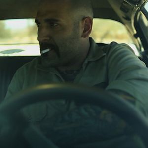 Bilder Nick Principe