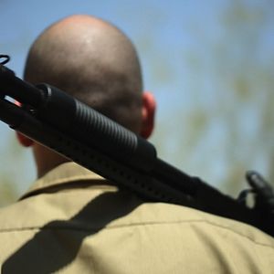 Bilder Nick Principe