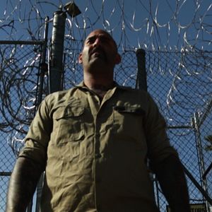 Bilder Nick Principe