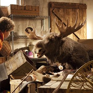 Bilder Mitten in der Winternacht