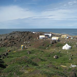 Bilder The Wings of Johnny May