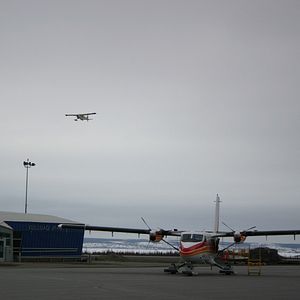 Bilder The Wings of Johnny May