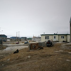 Bilder The Wings of Johnny May