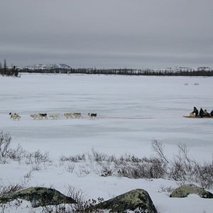 Bilder The Wings of Johnny May