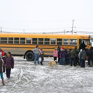 Bilder The Wings of Johnny May