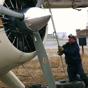 Bilder The Wings of Johnny May