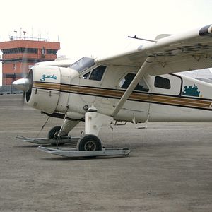 Bilder The Wings of Johnny May