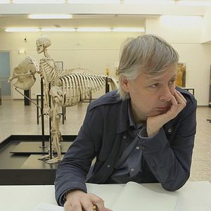 Bilder Was bin ich wert?