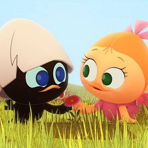 Bilder Calimero (2014)