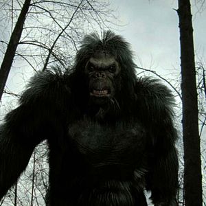 Bilder Bigfoot - Die Legende lebt!