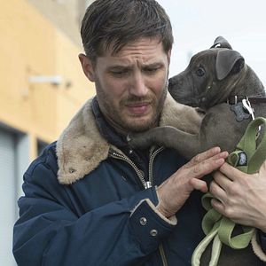 Bilder Tom Hardy