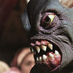 Bilder Sindbads fünfte Reise