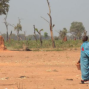 Bilder Beats of the Antonov