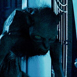 Bilder The Last Will and Testament of Rosalind Leigh