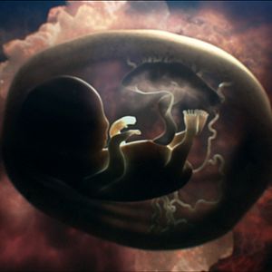 Bilder The Last Will and Testament of Rosalind Leigh