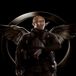 Bilder Die Tribute von Panem 3 - Mockingjay Teil 1