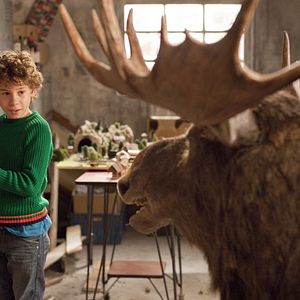 Bilder Mitten in der Winternacht