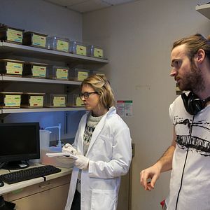 Bilder I Origins - Im Auge des Ursprungs