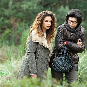 Bilder Barbara Cabrita