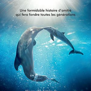 Bilder Mein Freund, der Delfin 2