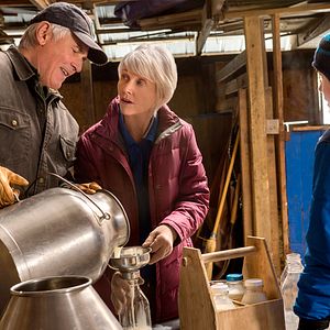 Bilder Ein Hund im Winter