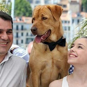 Bilder Zsófia Psotta