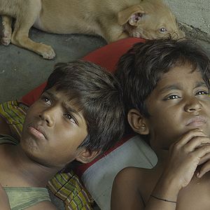 Bilder Kaakka Muttai