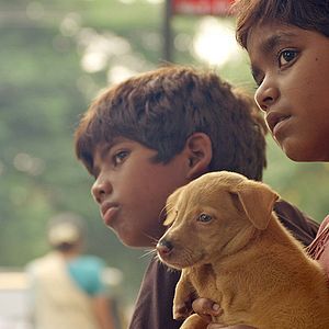 Bilder Kaakka Muttai