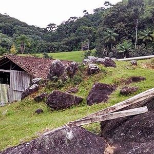 Bilder Oração do Amor Selvagem