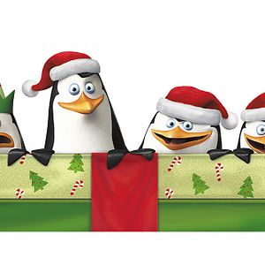 Bilder Die Pinguine aus Madagascar