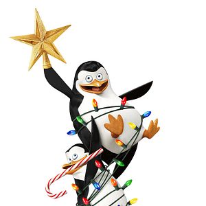 Bilder Die Pinguine aus Madagascar