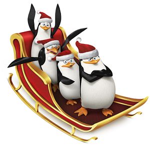 Bilder Die Pinguine aus Madagascar