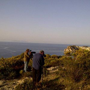 Bilder Emptying the Skies