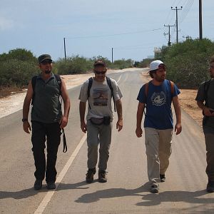 Bilder Emptying the Skies