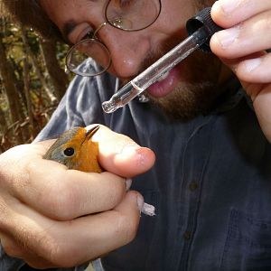 Bilder Emptying the Skies