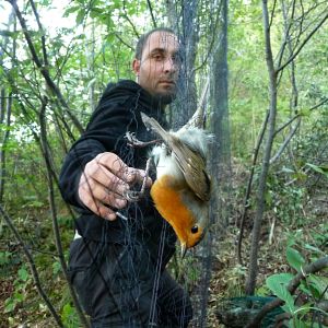 Bilder Emptying the Skies