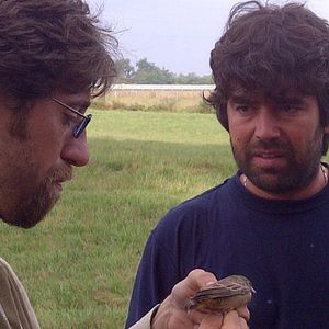 Bilder Emptying the Skies