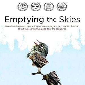 Bilder Emptying the Skies