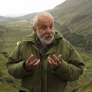 Bilder Mr. Turner - Meister des Lichts