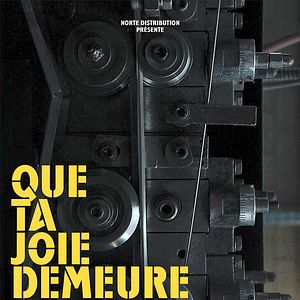 Bilder Joy of Man's Desiring