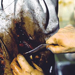 Bilder Corpsing - Lady Frankenstein