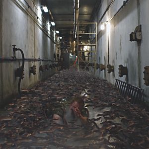 Bilder Blood Lake - Killerfische greifen an