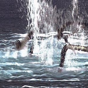 Bilder American Warships 2