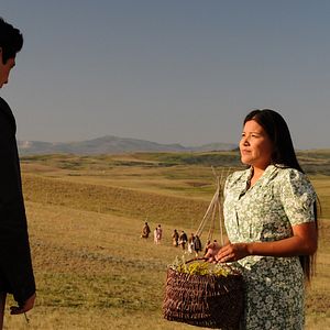 Bilder Jimmy P. - Psychotherapie eines Indianers