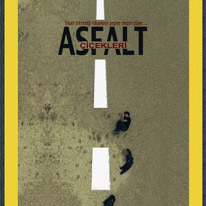 Bilder Asfalt Çiçekleri