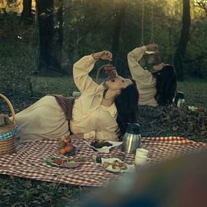 Bilder Asfalt Çiçekleri