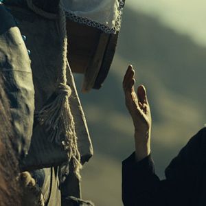 Bilder Asfalt Çiçekleri